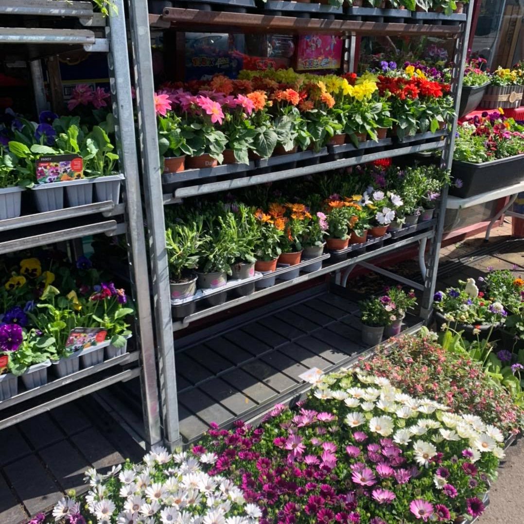 Hilltop Variety Store Gardening Store Front Plants